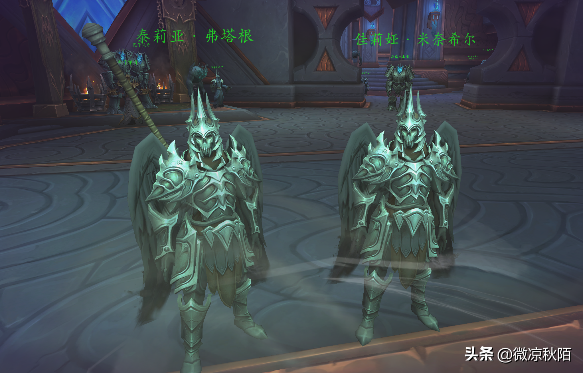 魔兽世界：飞行才是核心，布兰契直接起飞，幽灵虎有望能飞