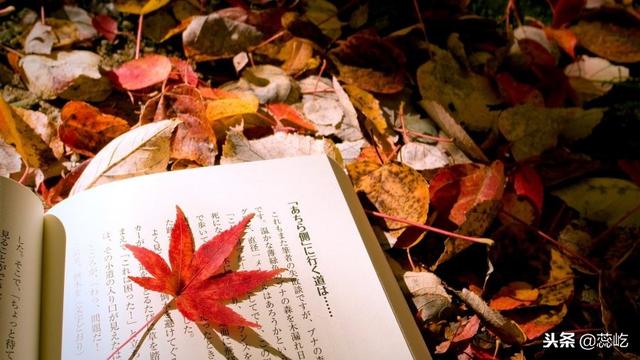 16个餐饮酒店营销方案免费送您