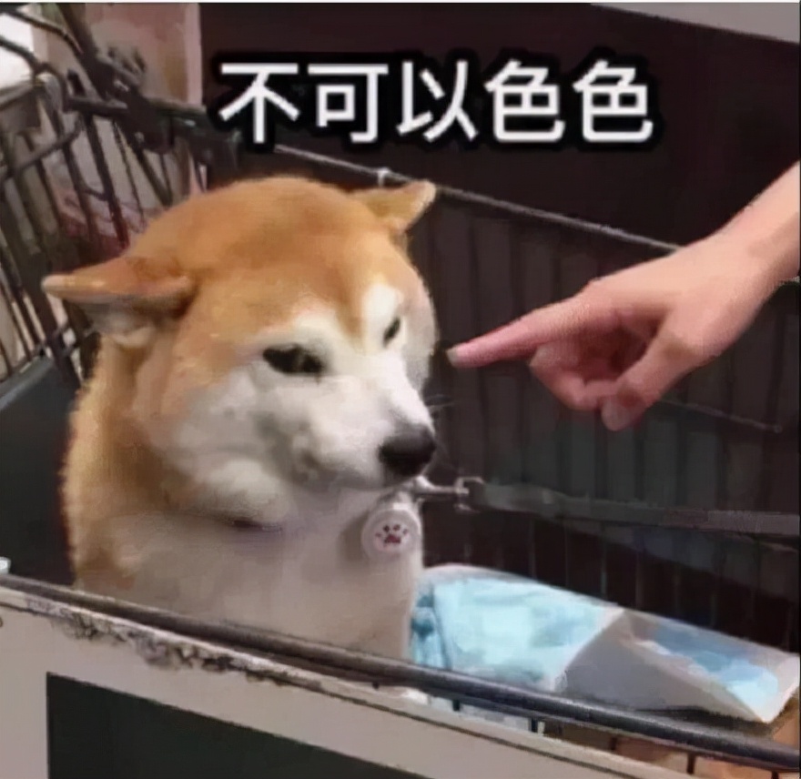 别再用迅雷下载了！这些技巧让你下载不限速，还能获取海量资源
