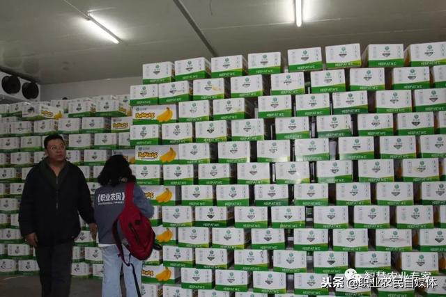 水果批发商赚钱吗？