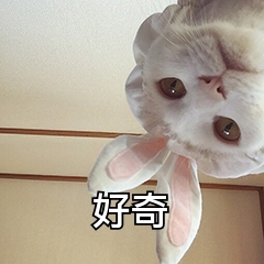 FLV转MP3怎么转？四款软件轻松搞定