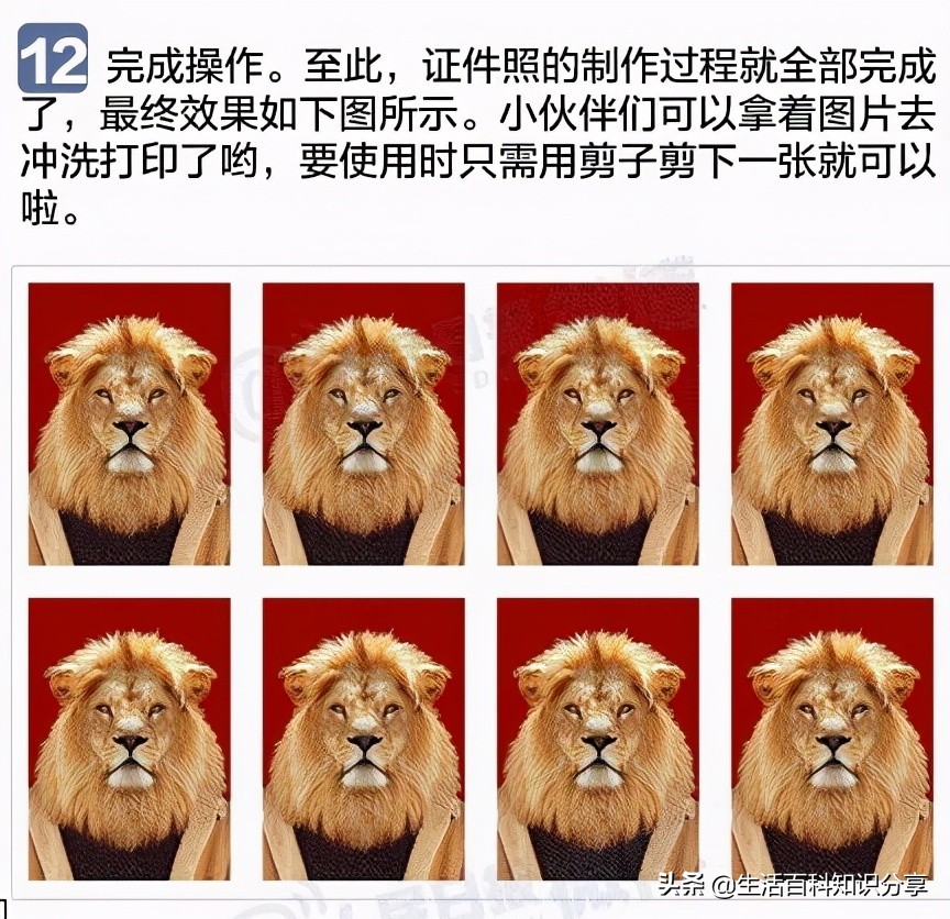 教你自制一寸两寸标准照！建议保存，以后好多地方都要用