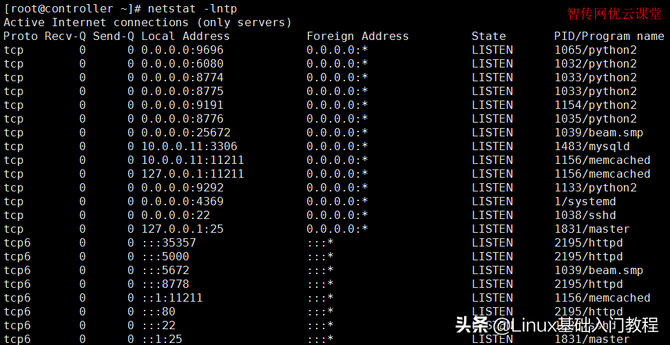 Linux怎么查看被占用的端口