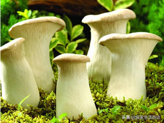 返乡创业不知道干啥好？这8个农村创业好点子，个个都赚钱！