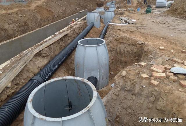 就业率高的8大“冷门专业”，毕业生找工作较容易，填报可参考