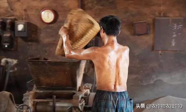 农村这9个创业项目，本钱少，有“钱途”，你钟意哪一个？