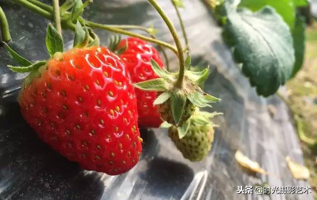 手机摄影基础丨做自己的光影魔术手，你能做到吗？