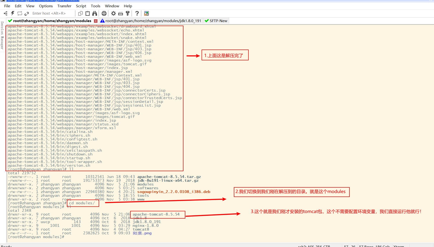 Linux中安装 jdk 和 tomcat（全网最详细）