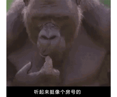 404 not found，到底是怎么一回事？