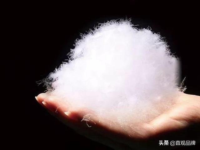 品牌中网热门榜单：2019年“中国羽绒品牌”荣耀榜单揭榜！