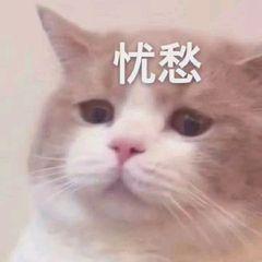 原来误删的微信好友、群聊可以这样偷偷加回来！真神奇！学会不亏