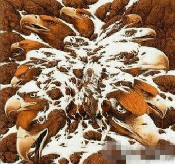 快来测智商！10张图测出你的眼力+智力，多数人只能对一半！