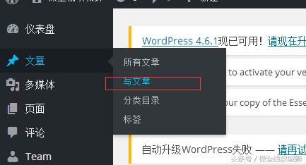 零基础开发高大上精美网站，一步步带你建设全能网站