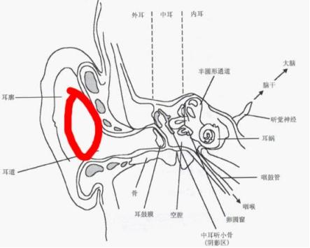 20款热销蓝牙耳机测评，坤哥最推荐的不是