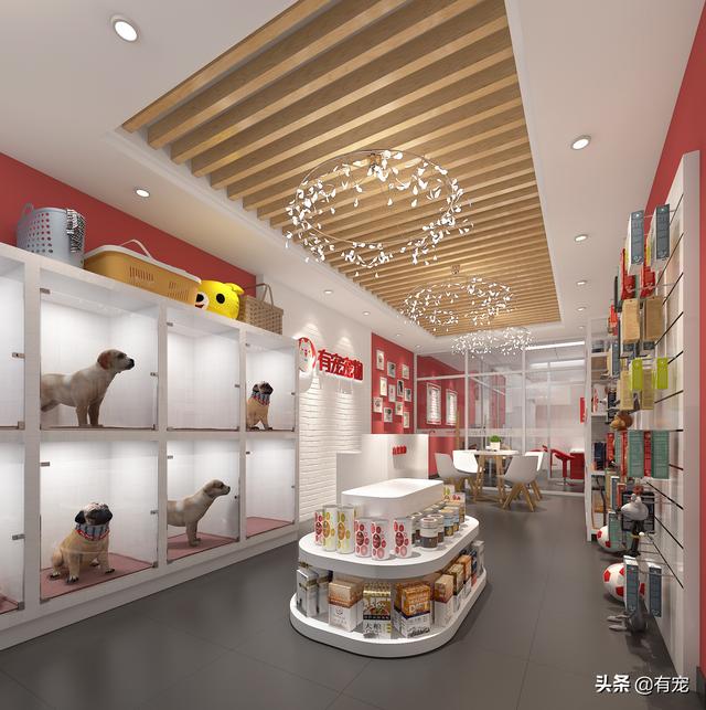 现在开宠物店赚钱吗？