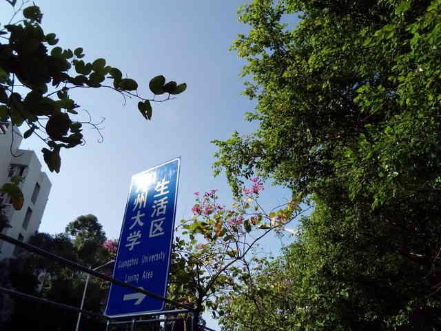 小格雷学生手机评测:为学习而生,家长可管理