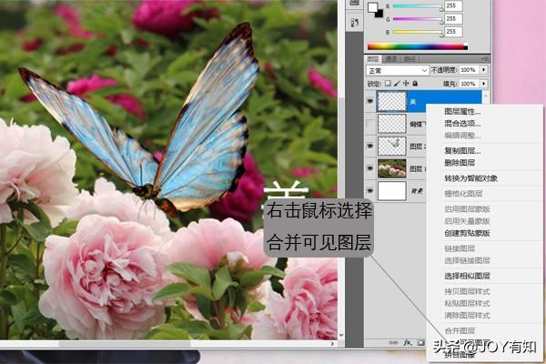 Photoshop入门到精通：图层基本操作，向下合并和合并可见图层