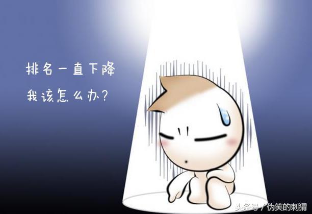 快速提升排名的方法在于细节与技巧相结合