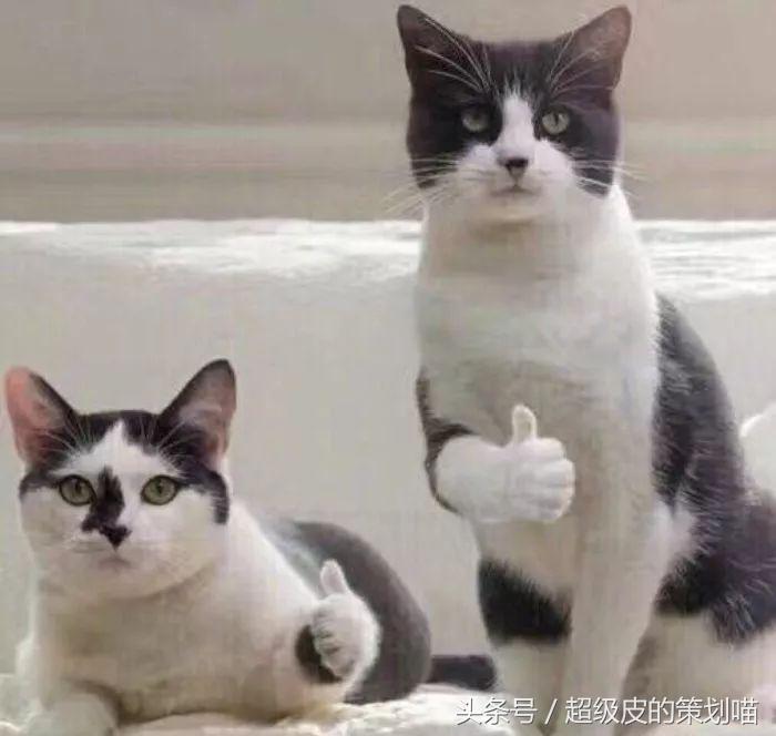 手把手教你玩转微博粉丝通（一）