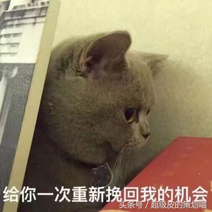 手把手教你玩转微博粉丝通（一）