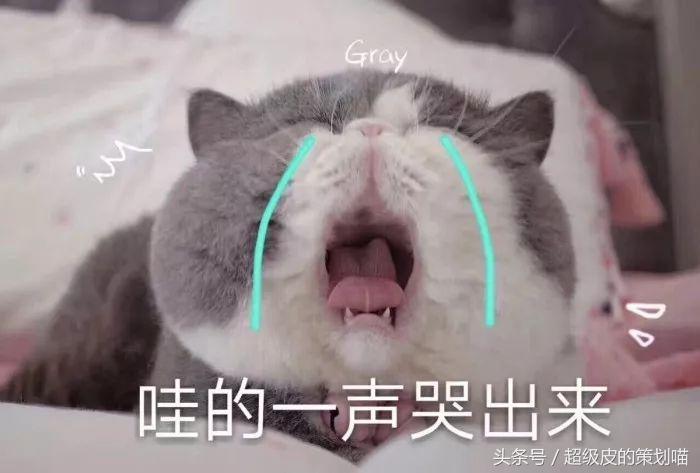手把手教你玩转微博粉丝通（一）