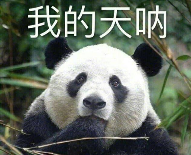 一键查询话费流量，爸爸妈妈再也不怕我失联了