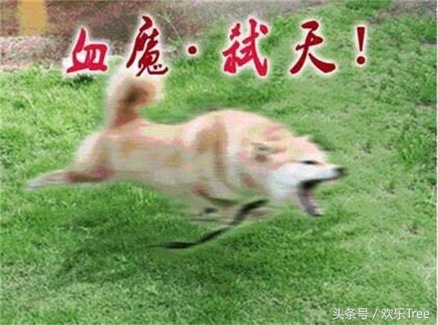 DNF：简单又暴力的3个职业，不需要高大上的操作，爆发力十足！