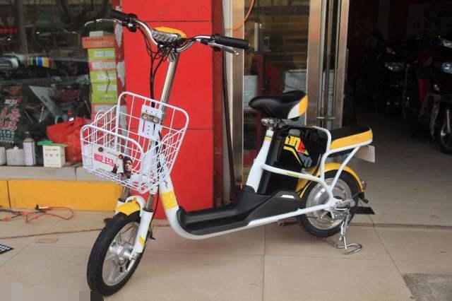 电动车哪个品牌最好？