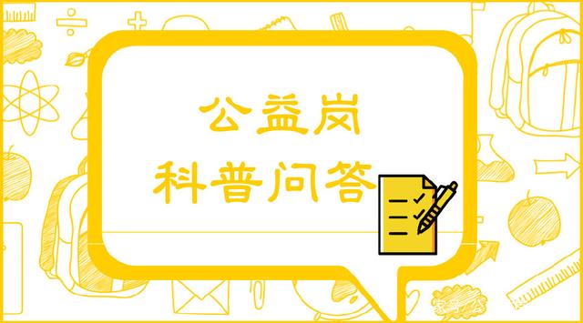 公益岗你到底了解多少