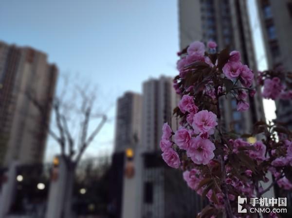为何选择黑鲨手机？其实理由只有一个