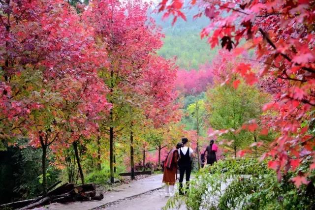 成都周边7个不能错过的旅行地，趁没火之前赶紧去！