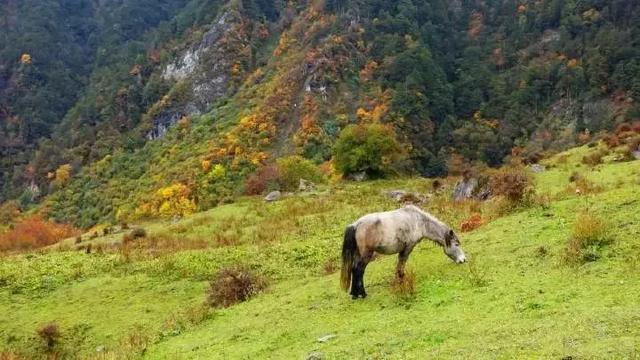成都周边7个不能错过的旅行地，趁没火之前赶紧去！