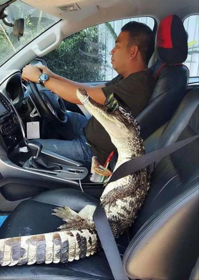 社群营销是什么？在哪里玩？怎么玩？