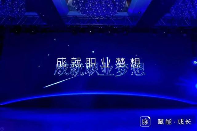 脉脉，凭什么成为中国最大的实名职场社交平台？