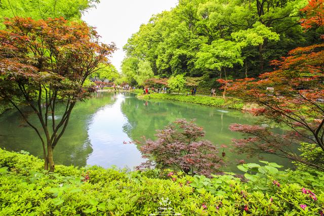 长沙最值得一游的景点，非岳麓山莫属，不止是枫叶和爱晚亭……
