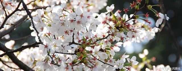 武汉旅游：最值得去的9个地方，定让你不虚此行！