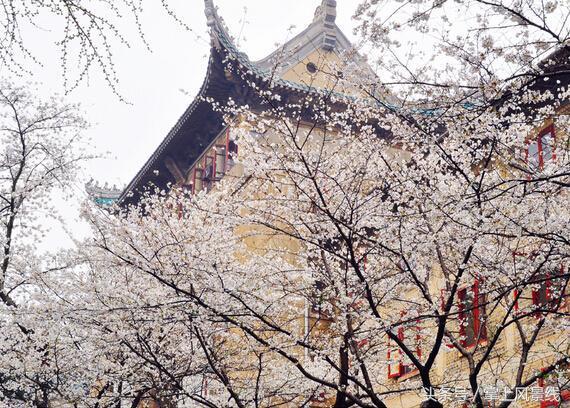 武汉旅游：最值得去的9个地方，定让你不虚此行！