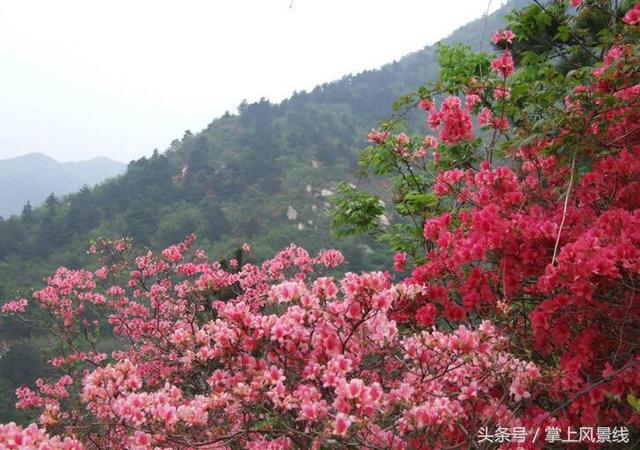 武汉旅游：最值得去的9个地方，定让你不虚此行！