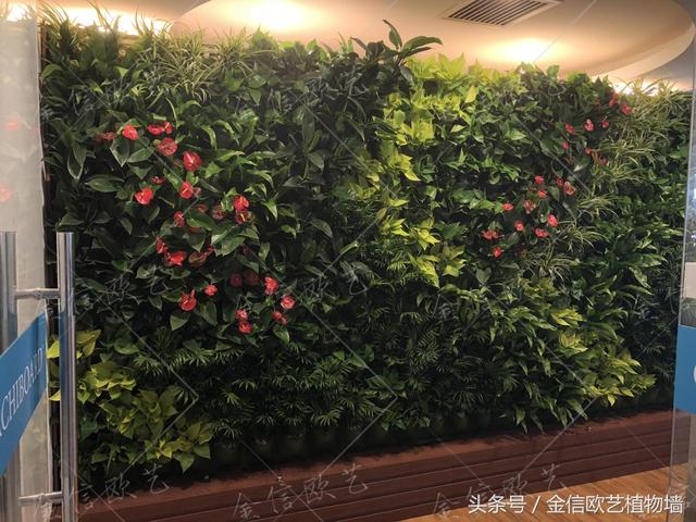 北京创业大厦植物墙项目完工