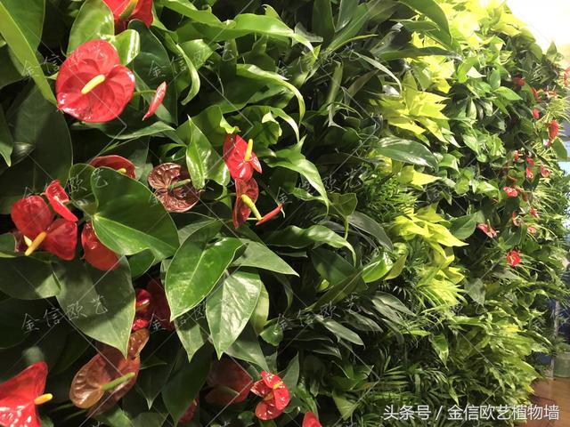 北京创业大厦植物墙项目完工
