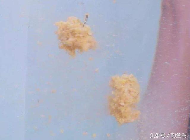 高手钓鱼的配饵技巧！找到这4种饵料，可钓遍80%的水域