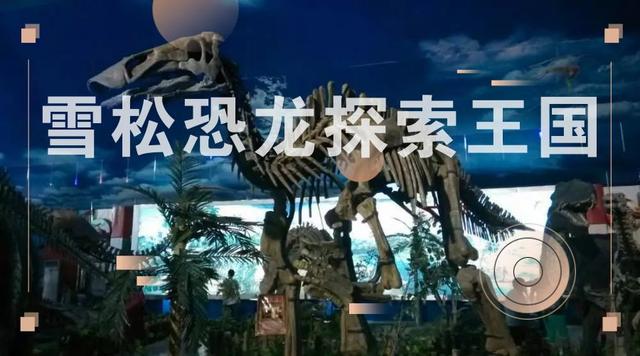 打个“飞的”去赏月，看航司如何做营销推广？