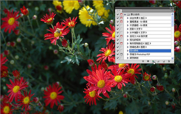 photoshop动作使用详细指南