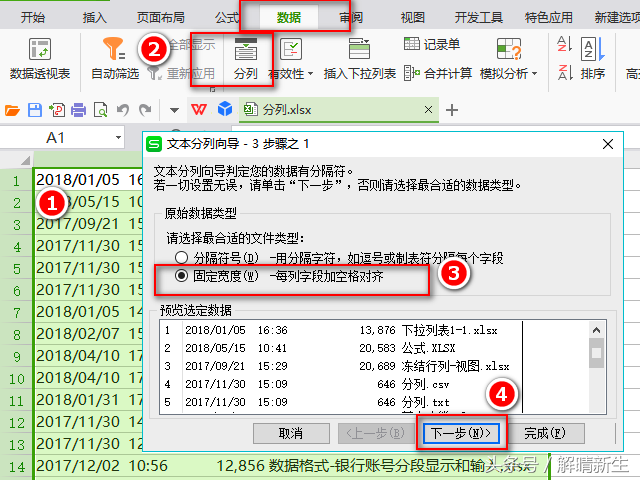 WPS Excel 入门：分列功能怎么用