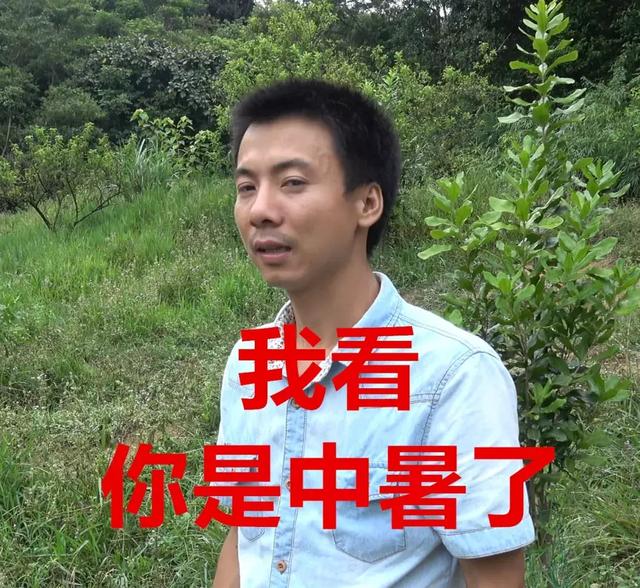 华农兄弟：衣服印着西瓜视频，却在B站月涨百万粉丝？