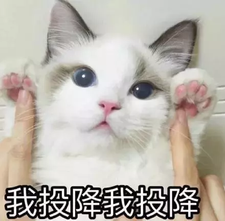 OPPO手机刷机必看！如何正确的给手机刷机？