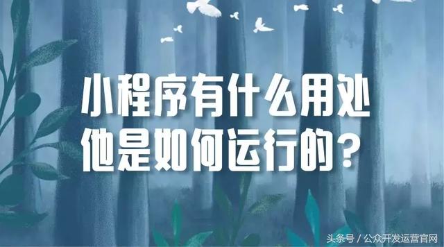 小程序有什么用处，他是如何运行的？