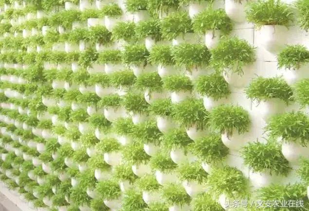 5大新型种植技术！再不知道就晚了！