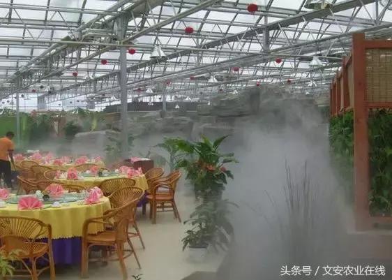 5大新型种植技术！再不知道就晚了！