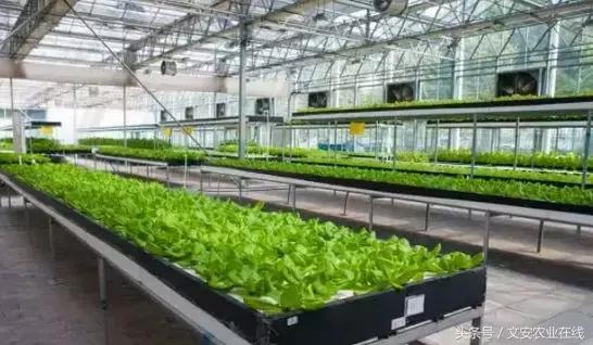 5大新型种植技术！再不知道就晚了！